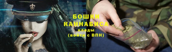 дмт Каменногорск
