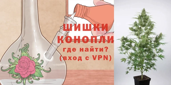 a pvp Каменка